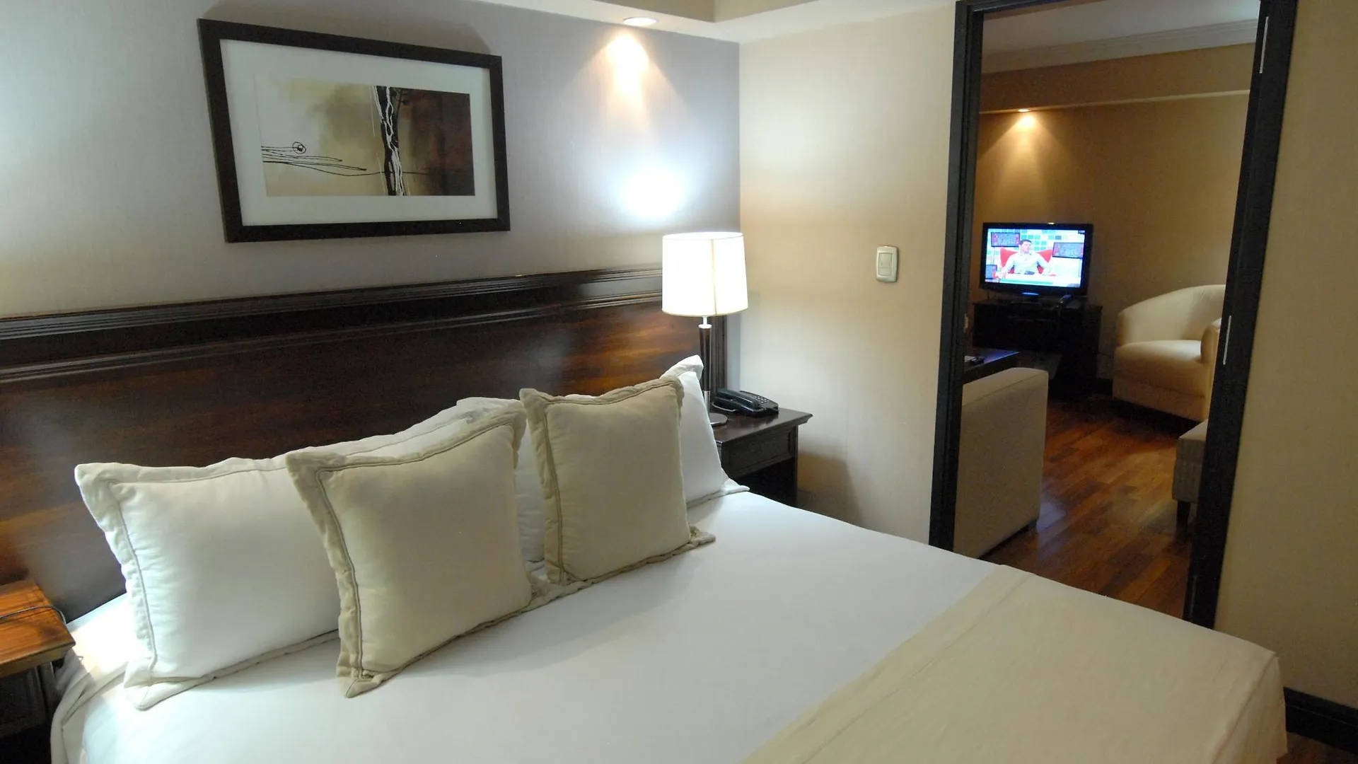 Hotel Premium Tower Suites Mendoza